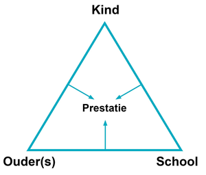 pedagogische-driehoek